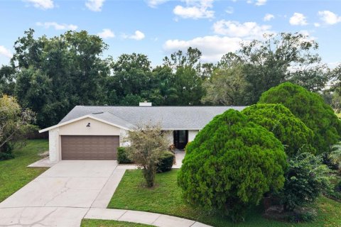 Villa ou maison à vendre à Tampa, Floride: 4 chambres, 187.01 m2 № 2407140 - photo 5
