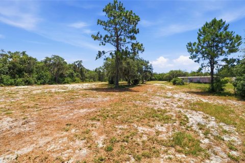 Land in Lake Wales, Florida № 2204327 - photo 10