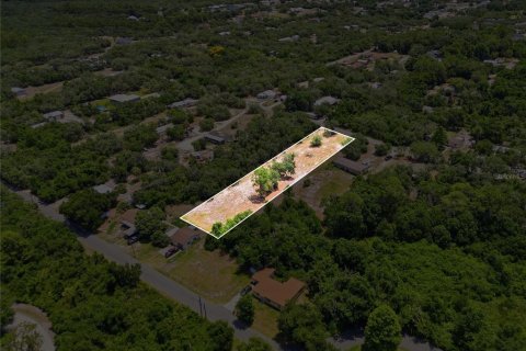 Land in Lake Wales, Florida № 2204327 - photo 2