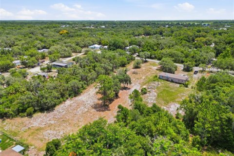 Land in Lake Wales, Florida № 2204327 - photo 6