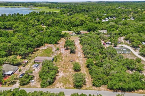 Land in Lake Wales, Florida № 2204327 - photo 4