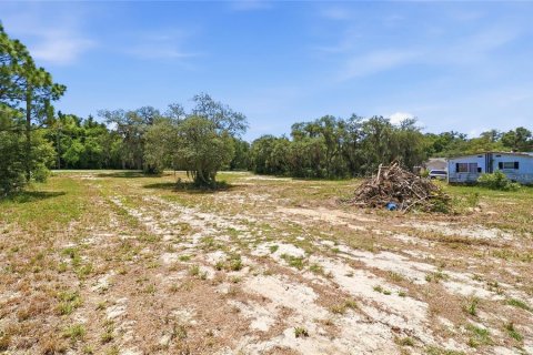 Land in Lake Wales, Florida № 2204327 - photo 8