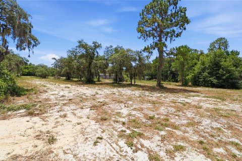 Land in Lake Wales, Florida № 2204327 - photo 9