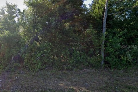Land in Port Charlotte, Florida № 2224099 - photo 2