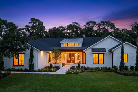 Villa ou maison à vendre à Windermere, Floride: 4 chambres, 398.55 m2 № 2425823 - photo 2