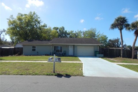 Villa ou maison à Zephyrhills, Floride 3 chambres, 136.38 m2 № 2094207