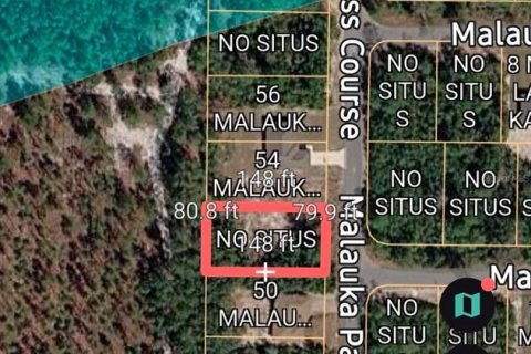 Land in Ocklawaha, Florida № 2162337 - photo 2