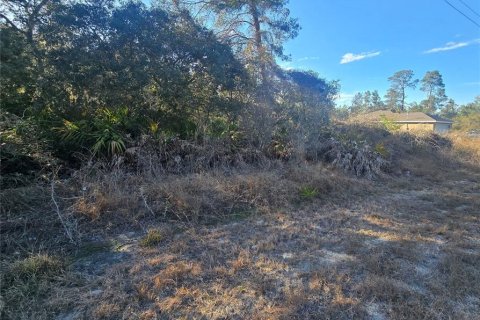 Land in Ocklawaha, Florida № 2162337 - photo 3