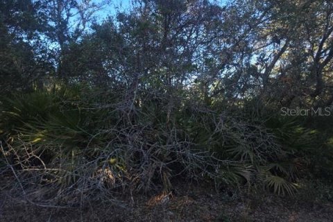 Land in Ocklawaha, Florida № 2162337 - photo 4