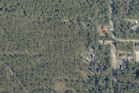 Land in Ocklawaha, Florida № 2162337