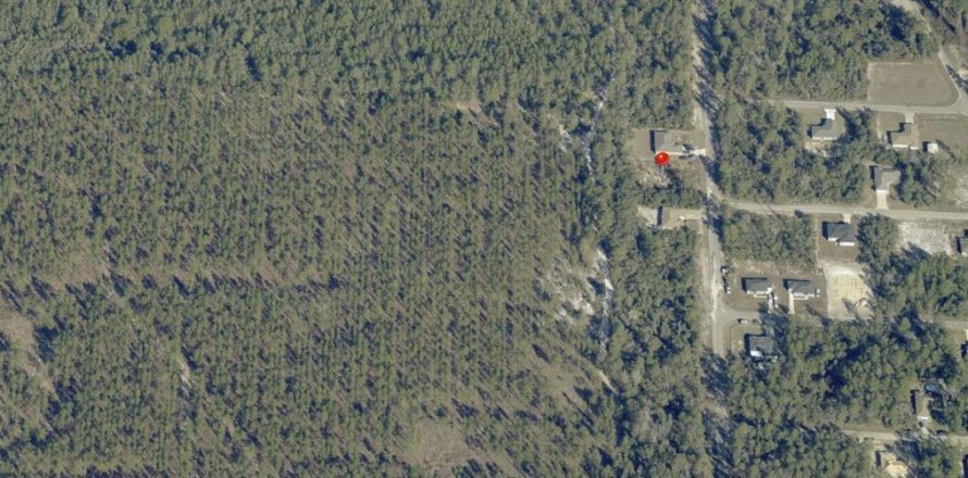 Land in Ocklawaha, Florida № 2162337