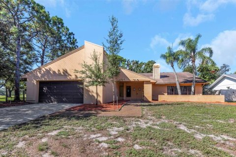 House in Clearwater, Florida 3 bedrooms, 223.99 sq.m. № 1898949 - photo 1