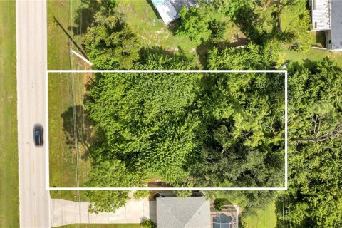 Land in Port Charlotte, Florida № 2205814 - photo 4