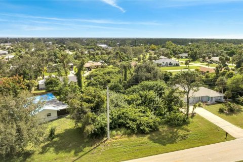 Land in Port Charlotte, Florida № 2205814 - photo 2