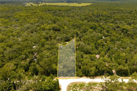 Terrain à vendre à Webster, Floride № 2233838 - photo 5
