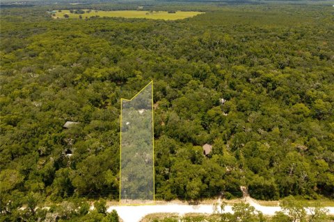 Land in Webster, Florida № 2233838