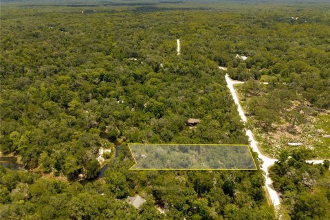 Terrain à vendre à Webster, Floride № 2233838 - photo 3
