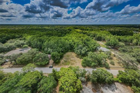 Terreno en venta en New Port Richey, Florida № 2219353 - foto 4