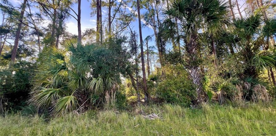Terrain à North Port, Floride № 2160063