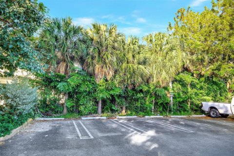 Appartement à louer à Miami Beach, Floride: 37.63 m2 № 2056810 - photo 18