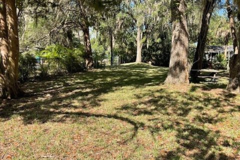 Terreno en venta en Weeki Wachee, Florida № 1725108 - foto 10
