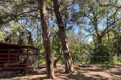 Terreno en venta en Weeki Wachee, Florida № 1725108 - foto 14