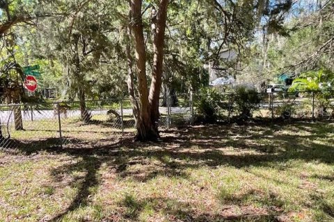 Terreno en venta en Weeki Wachee, Florida № 1725108 - foto 5