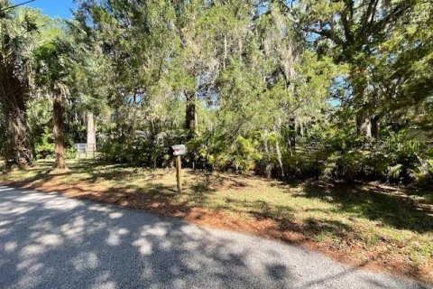 Terreno en venta en Weeki Wachee, Florida № 1725108 - foto 16