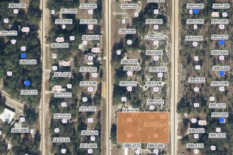 Land in Interlachen, Florida № 2234971
