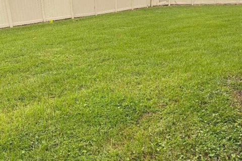 Adosado en alquiler en Wesley Chapel, Florida, 3 dormitorios, 163.51 m2 № 1846897 - foto 22