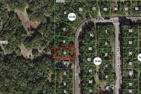 Land in Citrus Springs, Florida № 2159490 - photo 2