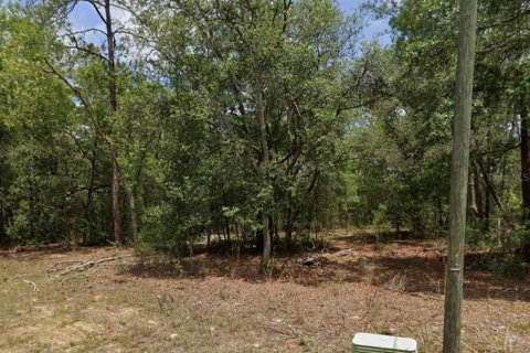 Land in Citrus Springs, Florida № 2159490