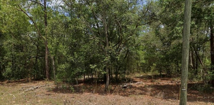 Land in Citrus Springs, Florida № 2159490