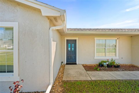 Villa ou maison à vendre à Deltona, Floride: 4 chambres, 163.79 m2 № 2427359 - photo 3