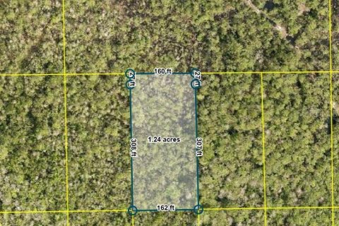 Terreno en DeLand, Florida № 2195845