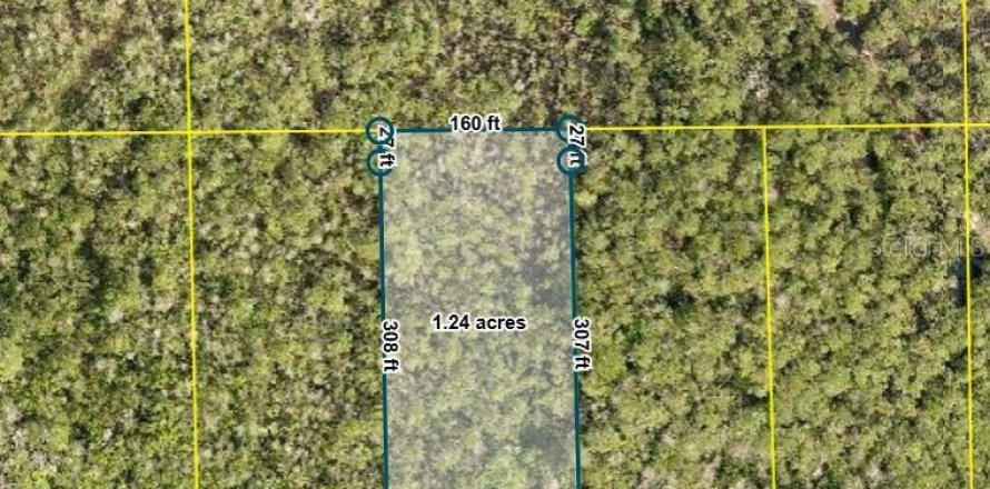Land in DeLand, Florida № 2195845