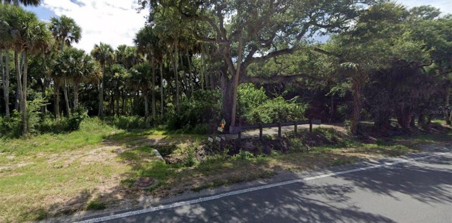 Land in New Smyrna Beach, Florida № 1217789