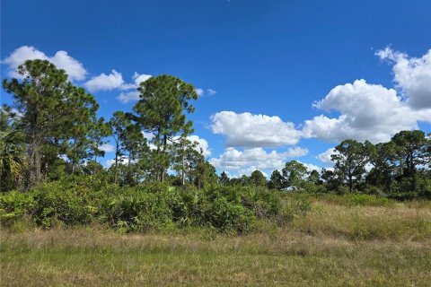 Terreno en venta en Lehigh Acres, Florida № 2163335 - foto 2