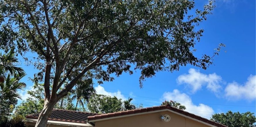 Commercial property in Dania Beach, Florida 205.41 sq.m. № 2075359