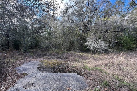 Terreno en venta en Hudson, Florida № 1544895 - foto 3