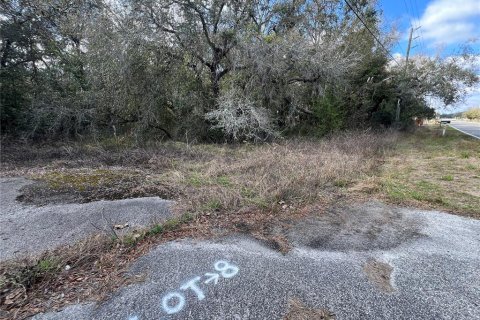 Terreno en venta en Hudson, Florida № 1544895 - foto 1