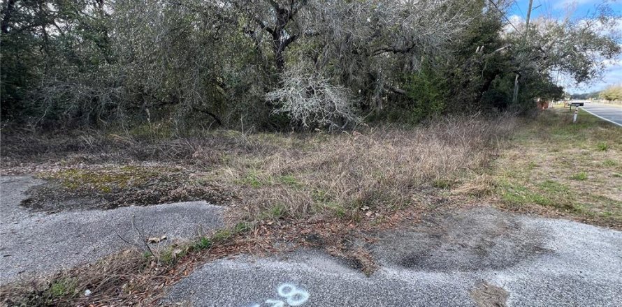 Terreno en Hudson, Florida № 1544895