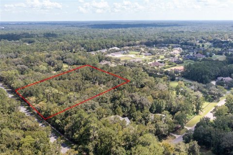 Land in Gainesville, Florida № 1721581 - photo 5