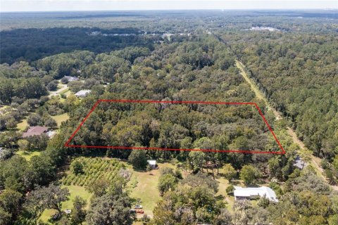 Land in Gainesville, Florida № 1721581 - photo 7