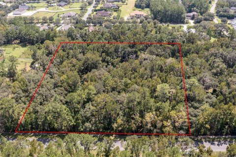 Land in Gainesville, Florida № 1721581 - photo 1