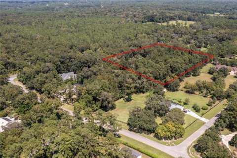 Land in Gainesville, Florida № 1721581 - photo 3
