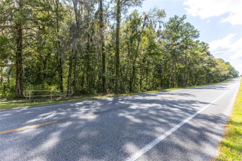 Land in Gainesville, Florida № 1721581 - photo 17