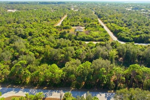 Land in Port Charlotte, Florida № 2165713 - photo 13