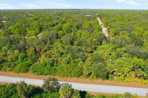 Land in Port Charlotte, Florida № 2165713 - photo 2