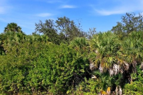 Land in Port Charlotte, Florida № 2165713 - photo 12